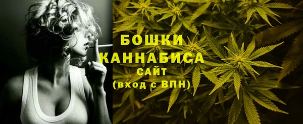 крисы Нея