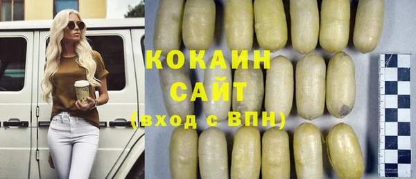крисы Нея