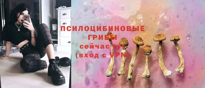 Псилоцибиновые грибы MAGIC MUSHROOMS  shop наркотические препараты  Сим  что такое наркотик 